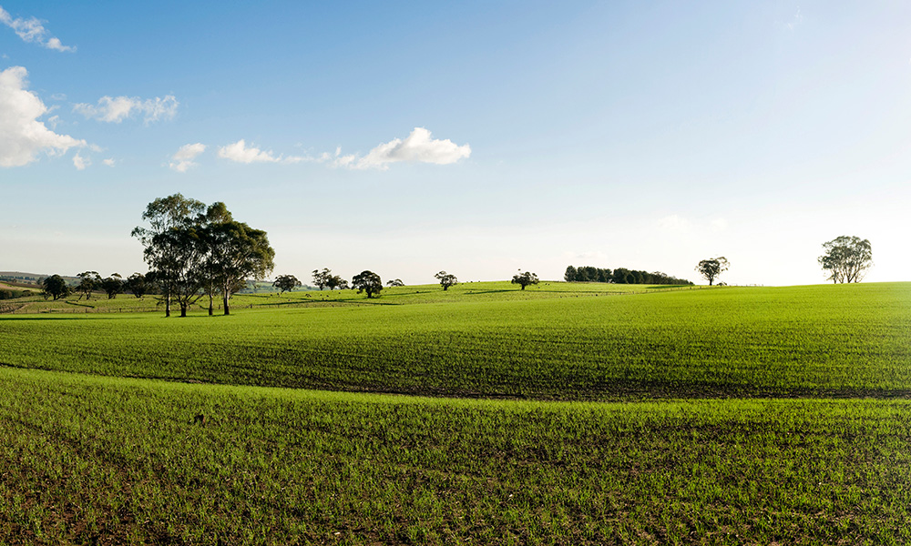 Off the plan conveyancing for land